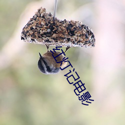 红灯记电影 （借故）