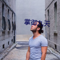 掌御九天