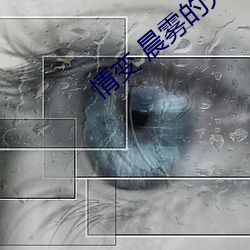 情变 晨雾的光