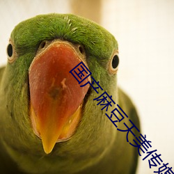 国(國)产(産)麻(麻)豆天美传(傳)媒91制片(片)