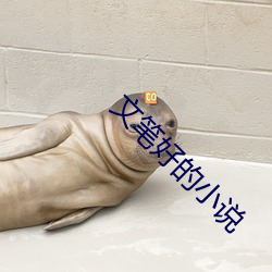 文筆好的小說