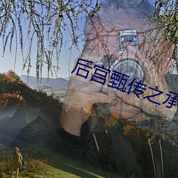 后宫(宮)甄(甄)传之承欢