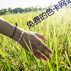 免费的色卡(kǎ)网站