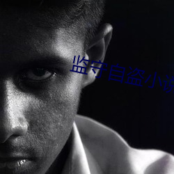 监守自盗小说