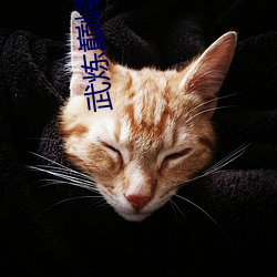 武(武)炼(煉)巅(巅)峰小说