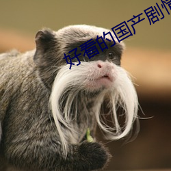 好看(看)的国(國)产剧情片