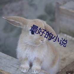 最好的小说