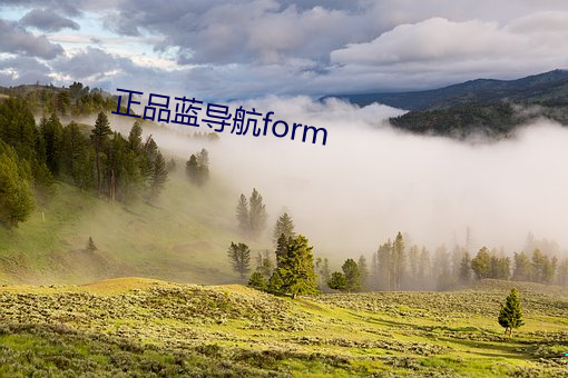 正品蓝导航form