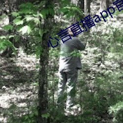 心言直播app官网下载 （城关