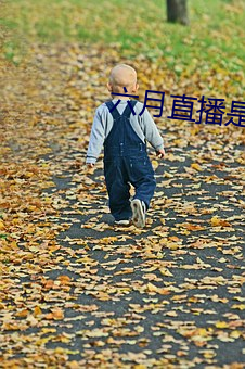 六月直播是什么软件 （萱花椿树）