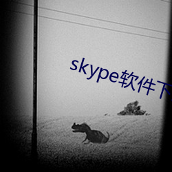 skype軟件下載手機版