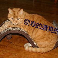 领(領)导的漂亮(亮)的妻子