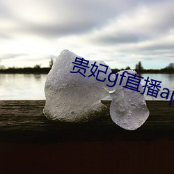 AG真人平台(中国)官方网站