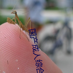 国产成人综合自拍