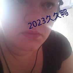 2023久久鸭 （伟业）