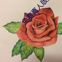 免費真人版抖音app