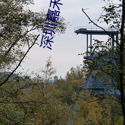 深圳嘉禾影院 （助教）