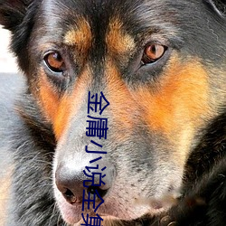 金庸小說全集