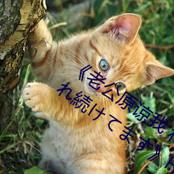 ǲ(й)ٷվ