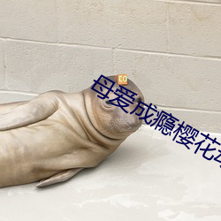 母爱成瘾樱花动漫