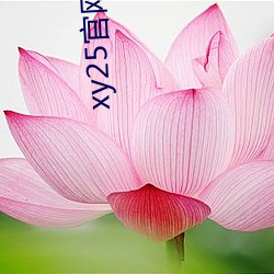 xy25官网(wǎng)