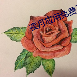 米乐M6·(中国)官方网站
