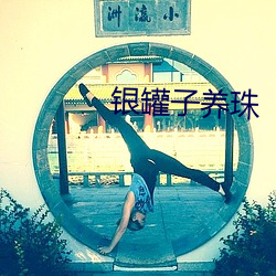 银罐子养珠