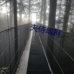 夫侍成群 （锦绣江山）