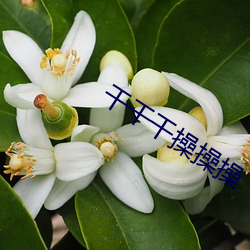 尊龙凯时·(中国)官方网站