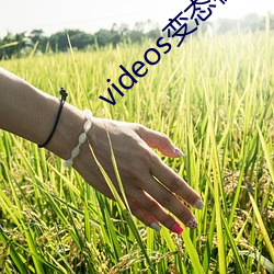 videos变态极端