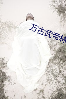 万古武(wǔ)帝林(lín)云(yún)