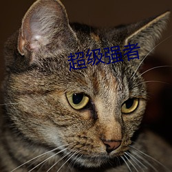 超(chāo)级强者