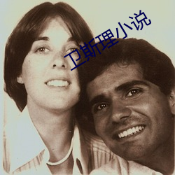 卫斯理小说(shu)