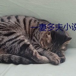 鸿运国际·(中国)会员登录入口