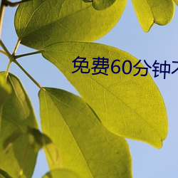 免费60分钟不带套 （花颜月貌）