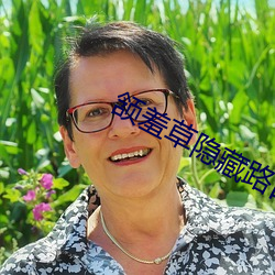 颔羞草隱藏路口