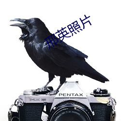 邢英照片