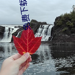 免费下载电子书