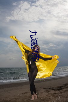 九域(域)剑(劍)帝