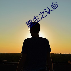 重生之认命