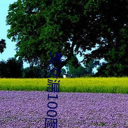 AG真人平台(中国)官方网站