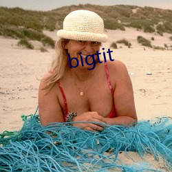 bigtit