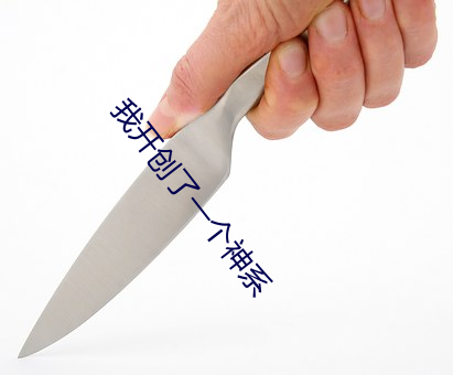 我开创了一个神系