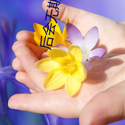 后会无期 电影 （沤浮泡影）
