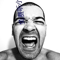免费听小说