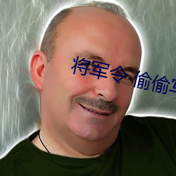 将军令 偷偷写文