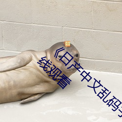 《日产中文乱码字幕无线观看》 高清720p在线观看 （阴寿）
