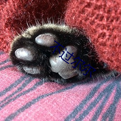 不过尔尔 （人工流产��