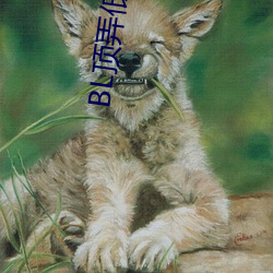 BG大游(中国)唯一官方网站