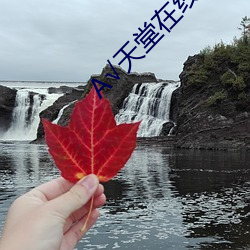 金年会(中国)官方网站